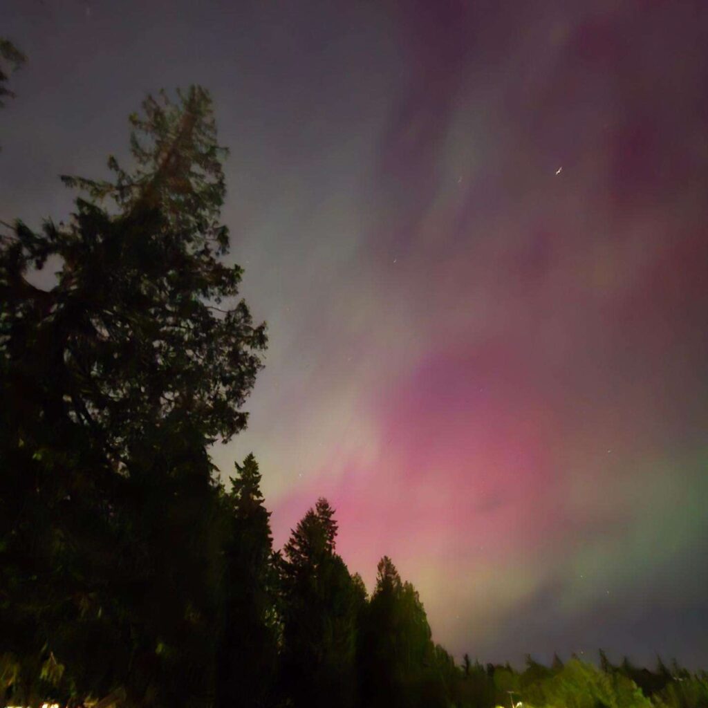 A picture of the aurora behind some trees.